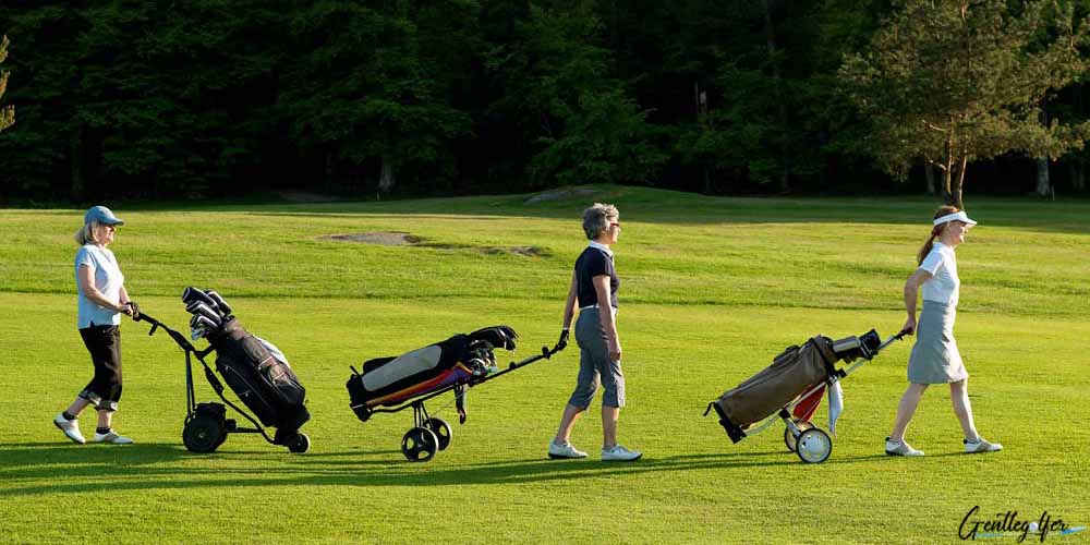 3 wheel vs 4 wheel golf push cart