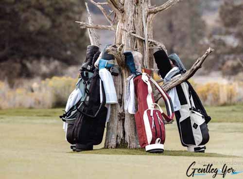 best golf bag color