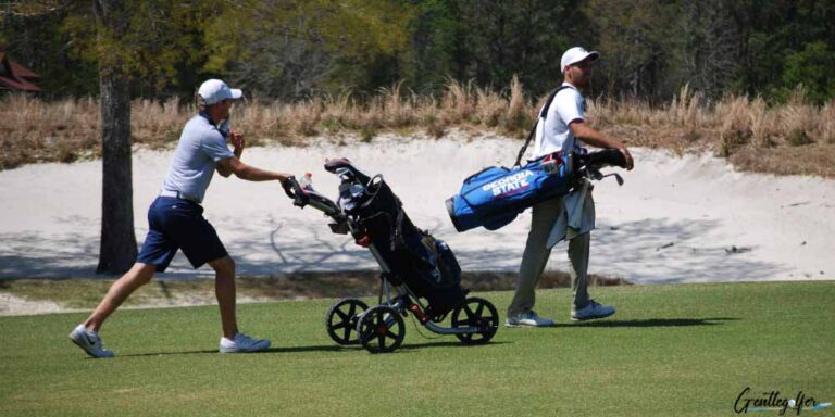 carry bag vs push cart